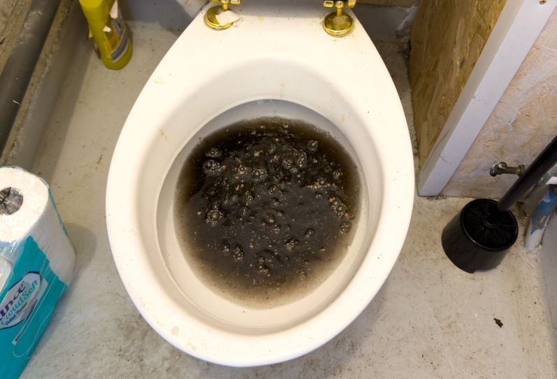 Blocked Toilets